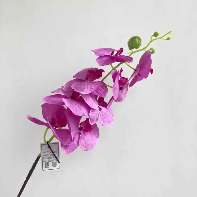 tropical silk phalaenopsis arrangement
