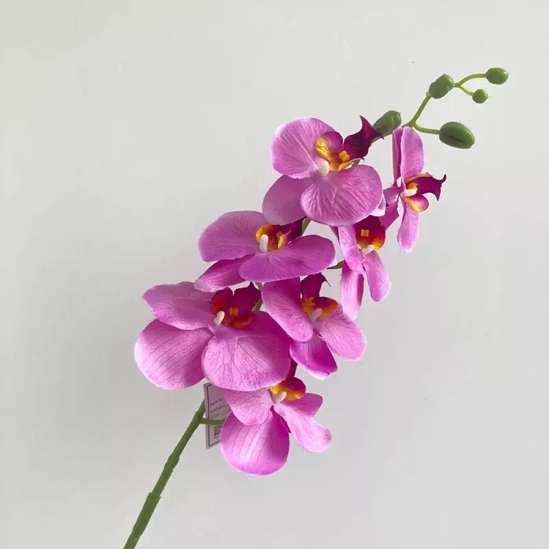 elegant silk phalaenopsis orchid stem