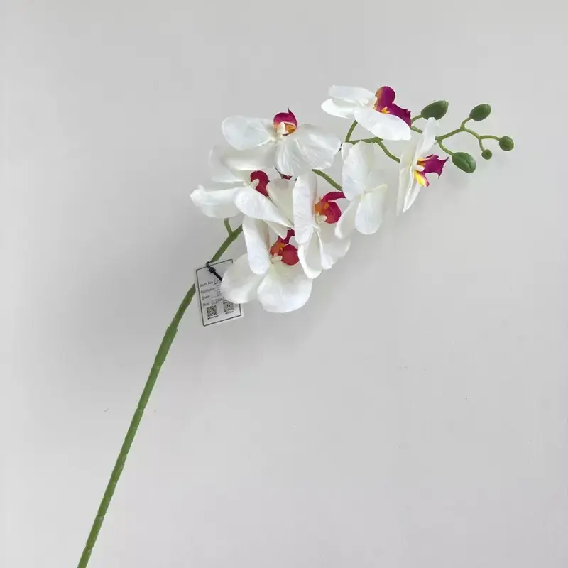 long stem silk phalaenopsis orchid