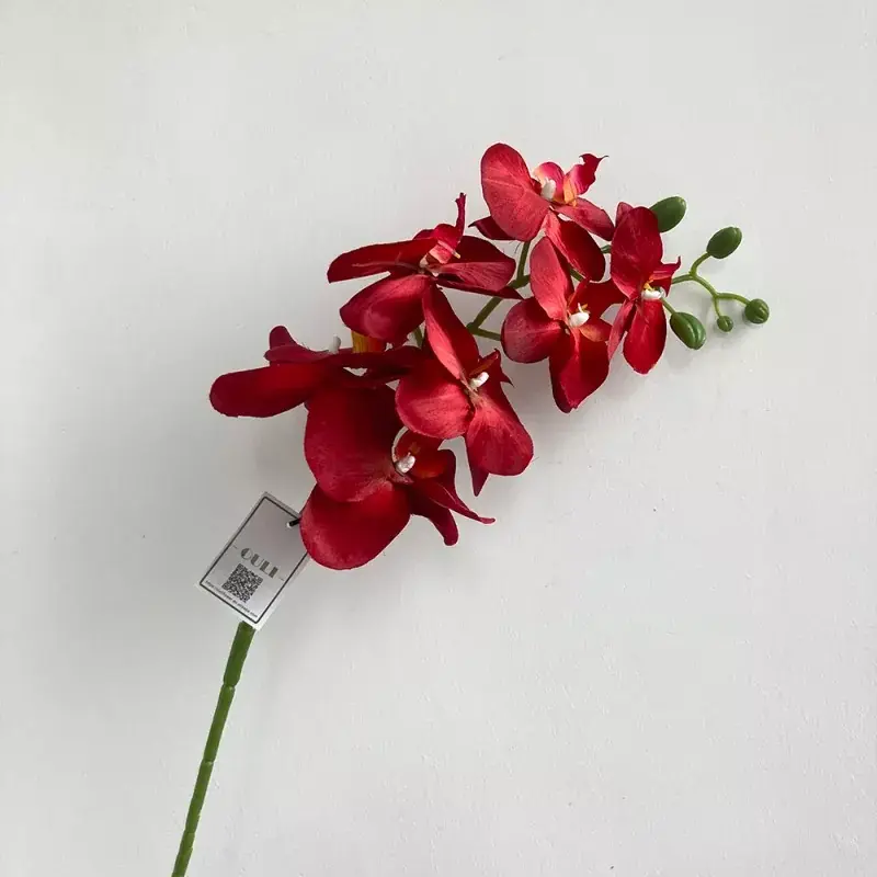 multi-color silk phalaenopsis orchid flower