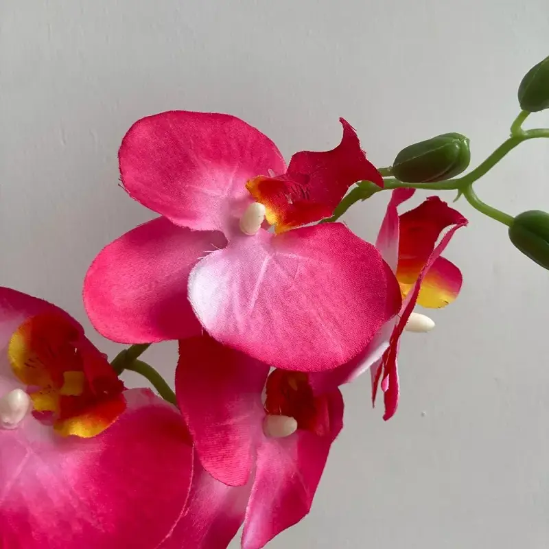 realistic silk phalaenopsis orchid blooms