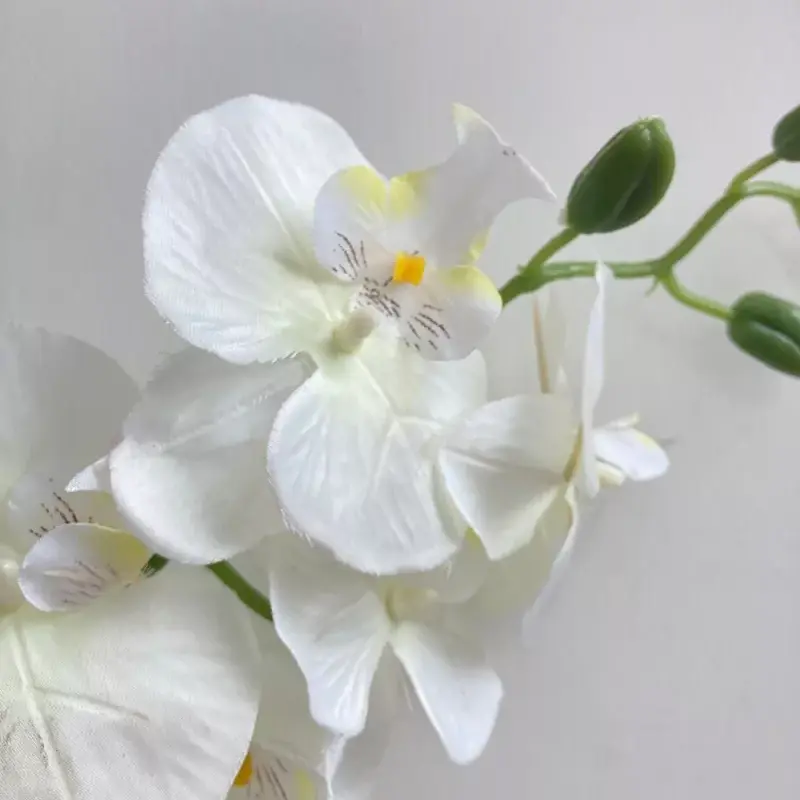 white silk phalaenopsis orchid centerpiece