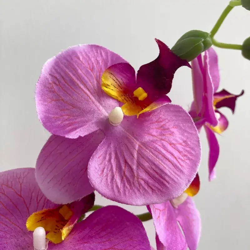 lifelike silk phalaenopsis orchid plant
