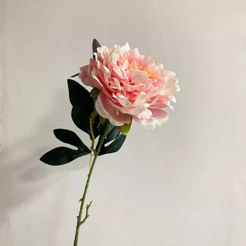 लंबा एकल तना नकली peony